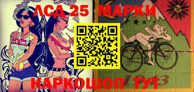 гашик Донецк