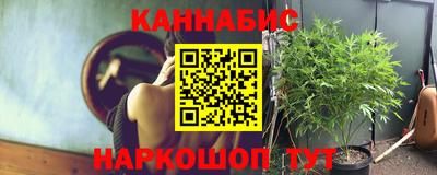 эйфоретик Донской