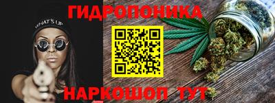 гашик Донецк