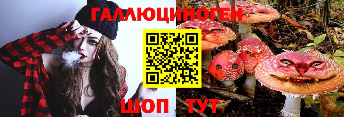 Галлюциногенные грибы мухоморы Десногорск