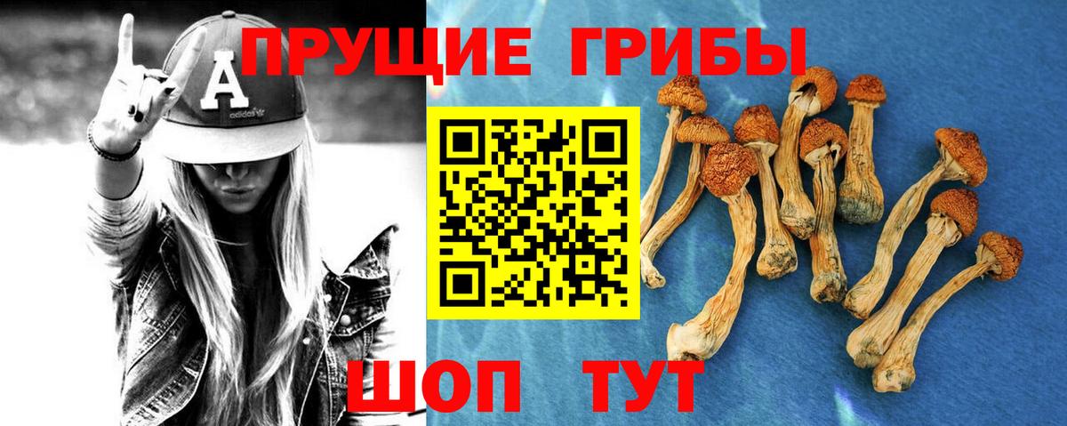 Десногорск  Галлюциногенные грибы Magic Shrooms  Вход с VPN  Псилоцибиновые грибы мицелий 